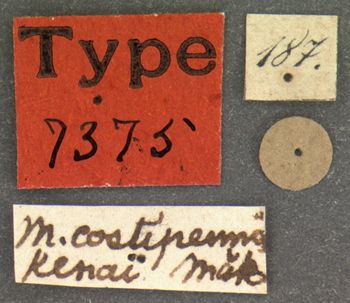 Media type: image;   Entomology 7375 Aspect: labels